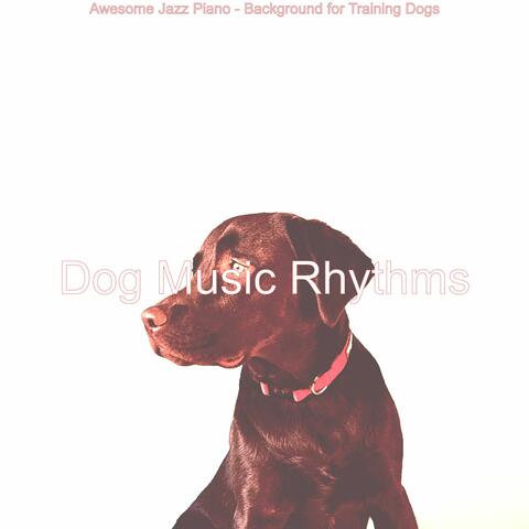 Awesome Jazz Piano - Background for Training Dogs