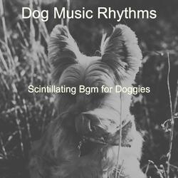Piano Jazz Soundtrack for Training Dogs