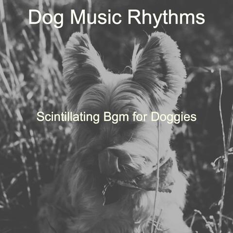 Scintillating Bgm for Doggies