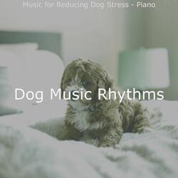 Relaxing Moods for Cute Dogs