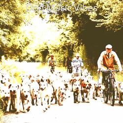 Wondrous Solo Piano Jazz - Vibe for Reducing Dog Stress