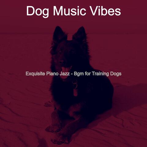 Exquisite Piano Jazz - Bgm for Training Dogs