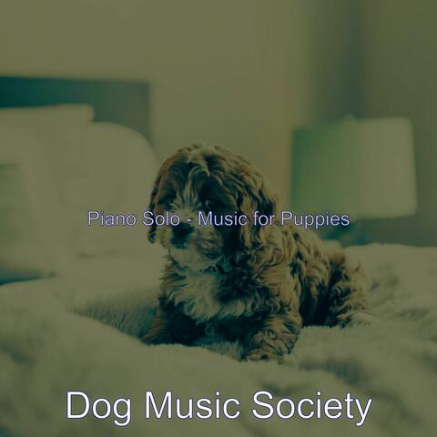 Piano Solo - Music for Puppies