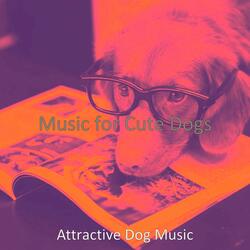 Distinguished Ambience for Cute Dogs