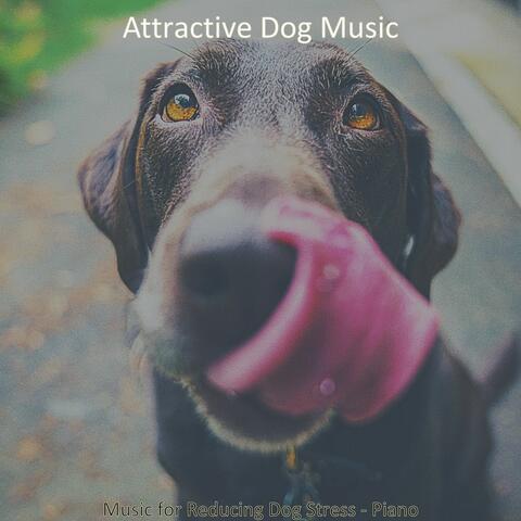 Music for Reducing Dog Stress - Piano