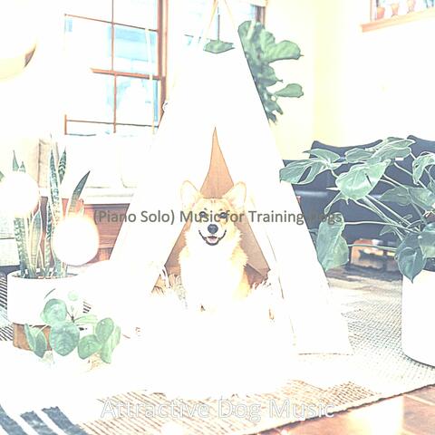 (Piano Solo) Music for Training Dogs