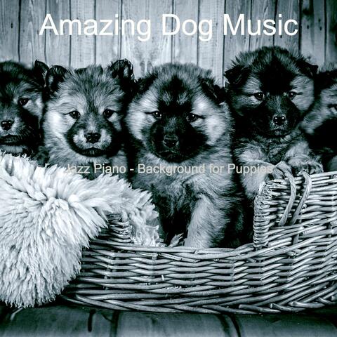 Jazz Piano - Background for Puppies