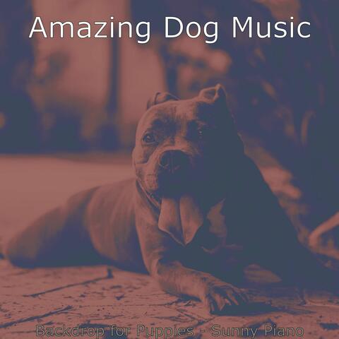 Backdrop for Puppies - Sunny Piano