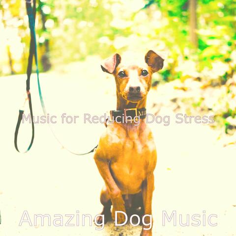 Music for Reducing Dog Stress