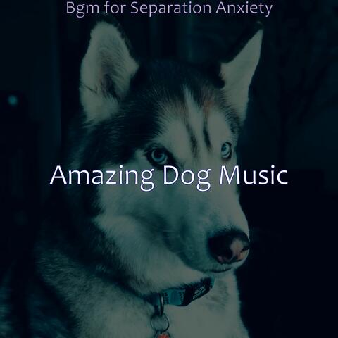 Bgm for Separation Anxiety