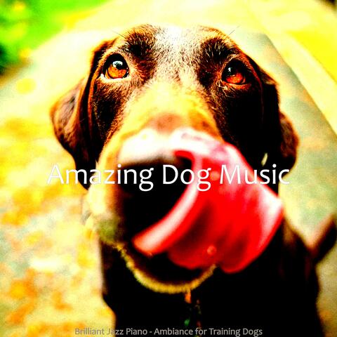 Brilliant Jazz Piano - Ambiance for Training Dogs