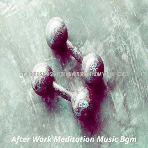 Vivacious Music for Unwinding from Work - Koto