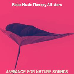 Acoustic Guitar Soundtrack for Serene Moments