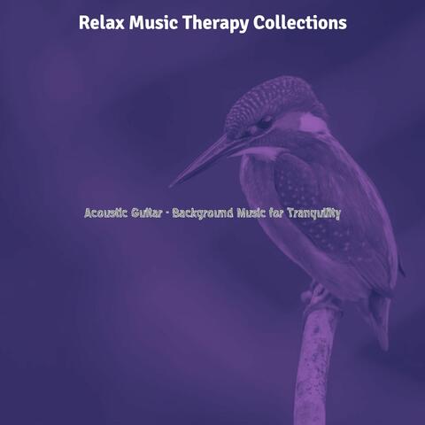Acoustic Guitar - Background Music for Tranquility