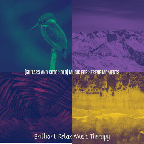 (Guitars and Koto Solo) Music for Serene Moments
