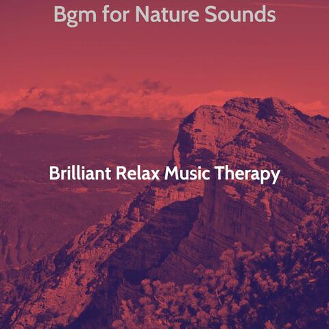 Bgm for Nature Sounds