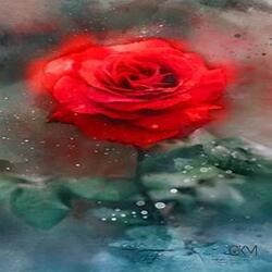 Adventure Is My Middle Name