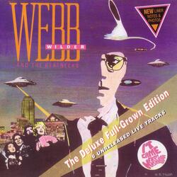 Webb's Theme (Guns, Girls and Hillbilly Music