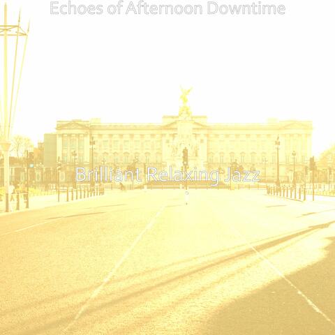 Echoes of Afternoon Downtime