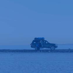 Festive Backdrops for Driving to Work