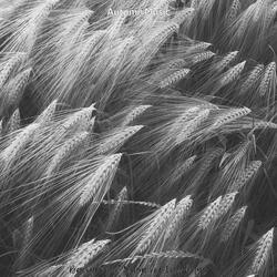 Retro Backdrops for Changing Seasons