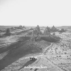 Astounding Backdrops for Fall