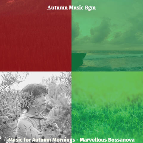 Music for Autumn Mornings - Marvellous Bossanova