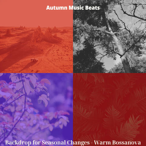 Backdrop for Seasonal Changes - Warm Bossanova