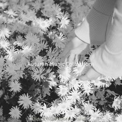 Stellar Bossa Nova - Vibe for Seasonal Changes