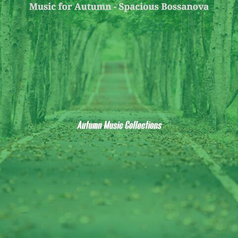 Music for Autumn - Spacious Bossanova