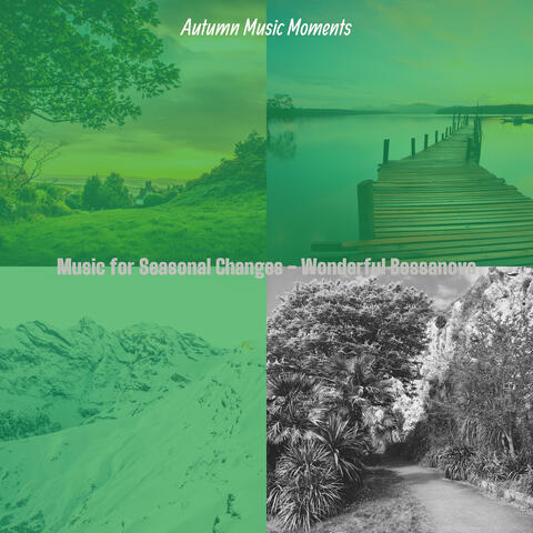 Music for Seasonal Changes - Wonderful Bossanova