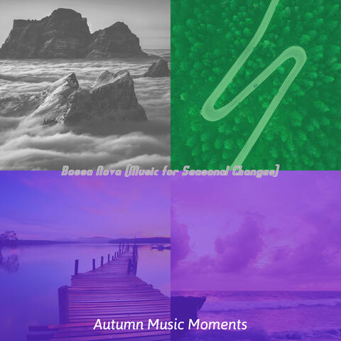 Bossa Nova (Music for Seasonal Changes)
