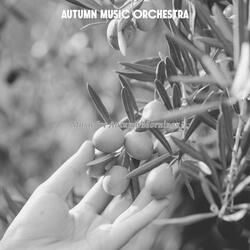 Cheerful Moods for Fall