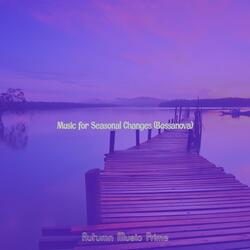 Festive Bossa Nova - Vibe for Seasonal Changes