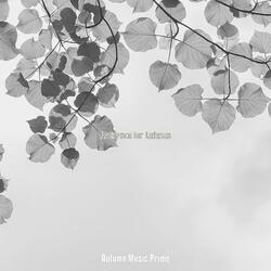 Inspired Music for Changing Seasons