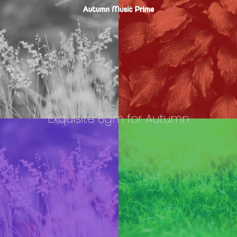 Exquisite Bgm for Autumn
