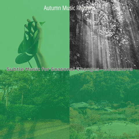 Subtle Music for Seasonal Changes - Bossanova