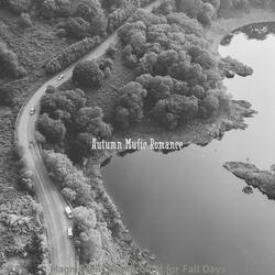 Lonely Ambience for Fall Days