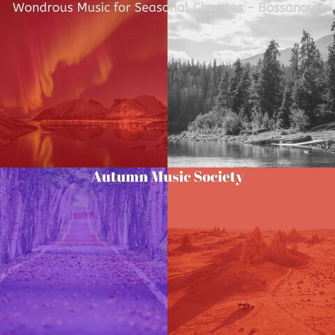 Wondrous Music for Seasonal Changes - Bossanova