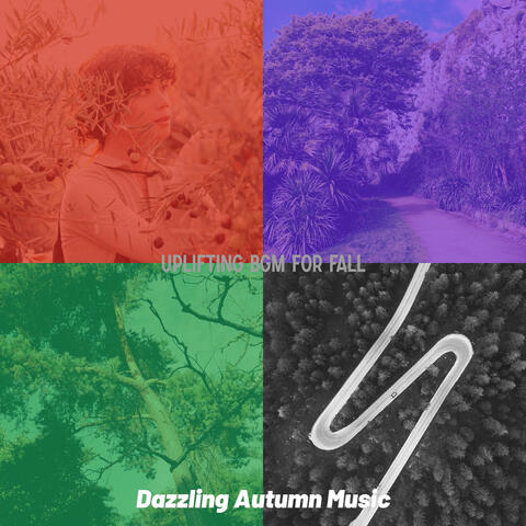 Uplifting Bgm for Fall