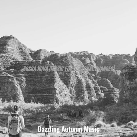 Bossa Nova (Music for Seasonal Changes)