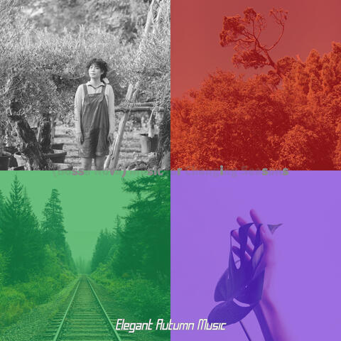 (Bossa Nova) Music for Changing Seasons