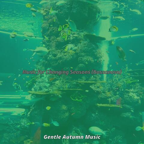 Music for Changing Seasons (Bossanova)