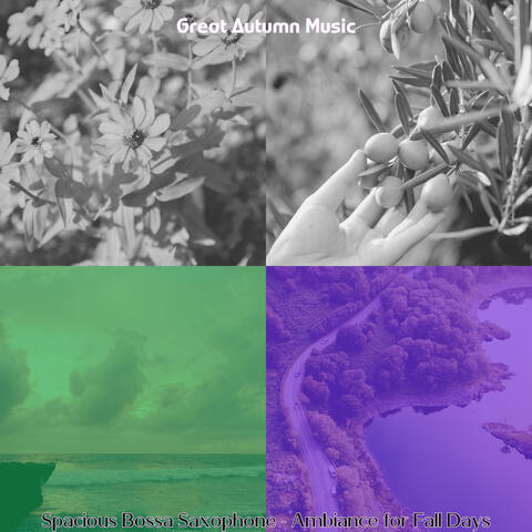 Spacious Bossa Saxophone - Ambiance for Fall Days