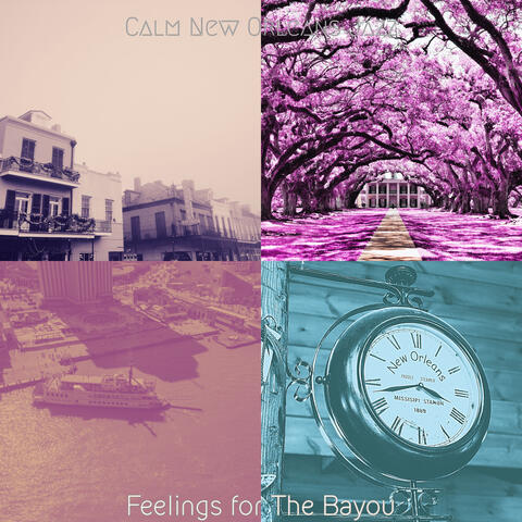 Feelings for The Bayou