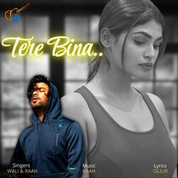 Tere Bina