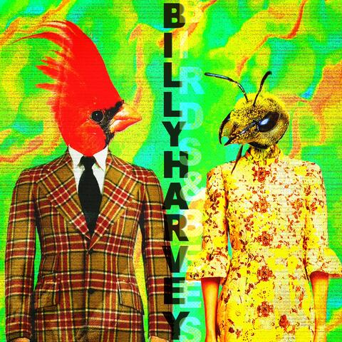 Birds And Bees