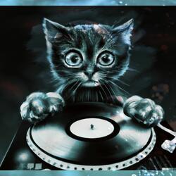 Meow