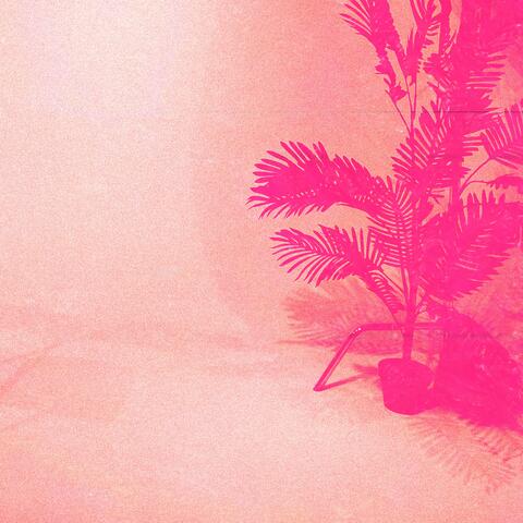 Birthday Lofi