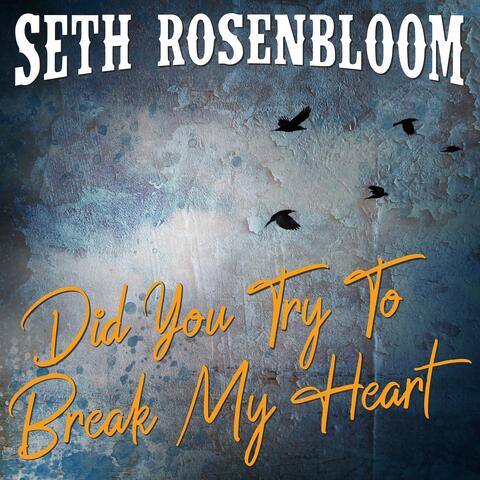 Did You Try To Break My Heart